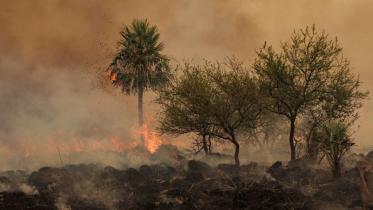 wildfire.jpg