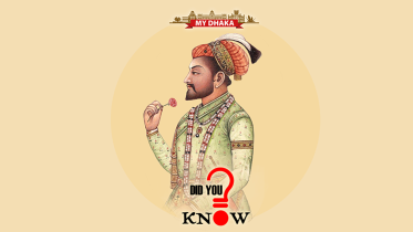 did_you_know-shah_jahan-thursday_tds_f.png