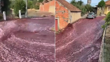 wine.jpg