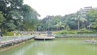 park2.jpg