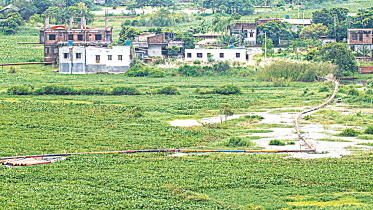 Totail Beel in Taranagar union of Keraniganj
