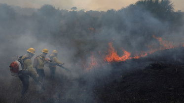 fires-in-forests.jpg