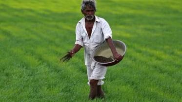 india.jpg