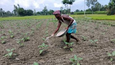 fertiliser-farmer