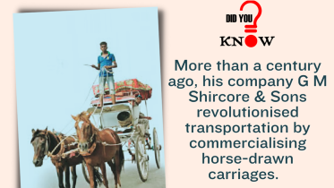 did_you_know_horse_carriage_f.png