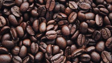 Crafting coffee culture: How I found my calling as a coffee roaster