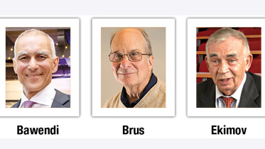 brus.jpg
