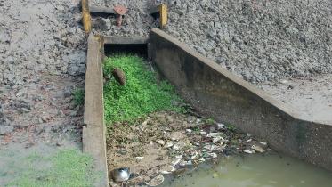 koyra-upazila.jpg