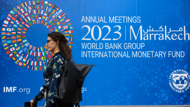 imf.jpg