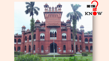 did_you_know_curzon_hall-f.png