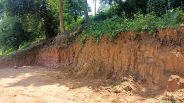 reserve-forest-razed-housing-1.jpg