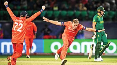 netherland-cricket.jpg