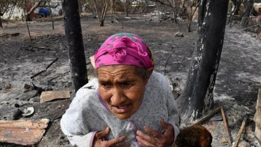 algeria-forest-fire.jpg