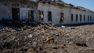russia-shelling-ukraine.jpg