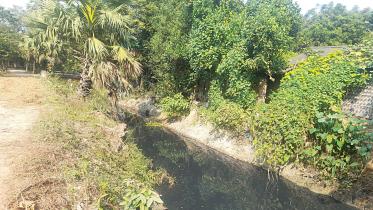 canals-1.jpg