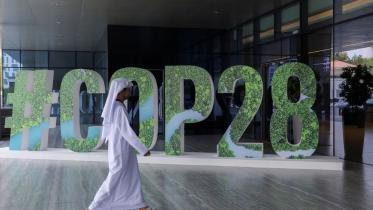 Bangladesh should advocate nature conservation at COP28