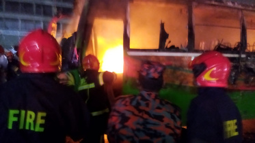 bus.jpg