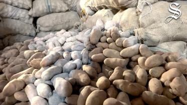 potato.jpg