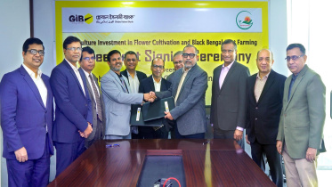 Global Islami Bank