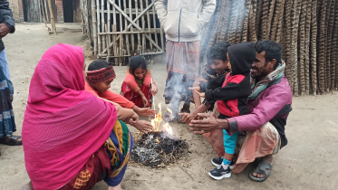 chuadanga_cold_12-01-24_4.jpg