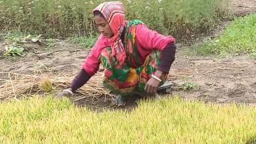 kurigram-and-lalmonirhat.jpg