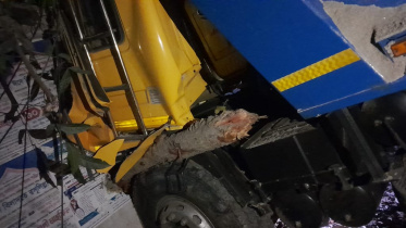 accident