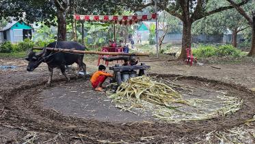 bijoynagar-1.jpg