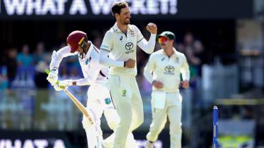 starc.jpg