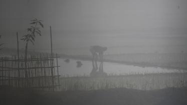 Tetulia records season’s lowest temperature at 5 degrees Celsius