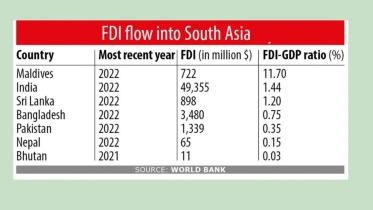 FDI flow into South Asia