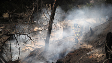 chile_fire.jpg
