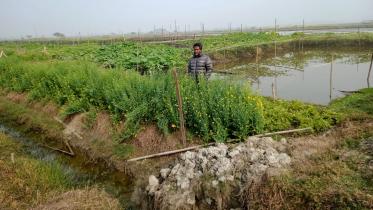 swampland-fertile-1.jpg