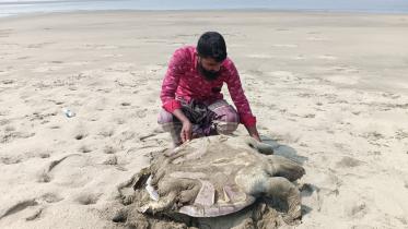 death-zone-for-marine-life-1.jpg