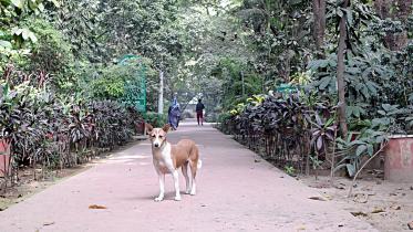 baldah-garden5.jpg