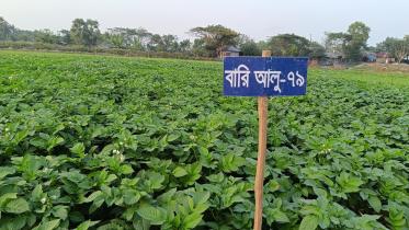climate-resilient-agriculture-1.jpg
