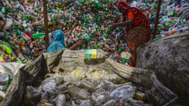 plastics.png