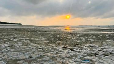 kuakata-sea-beach.jpg
