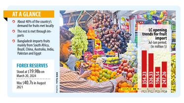 Fruit imports surge as Ramadan pushes up demand