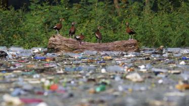 Plastic treaty
