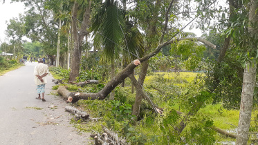 gazipur_storm.jpg