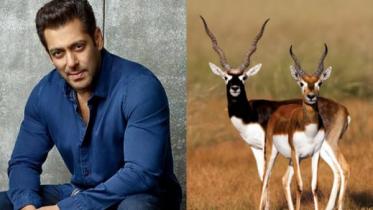 mainsalmankhanvsbishnoicommunity-1715656986.jpg
