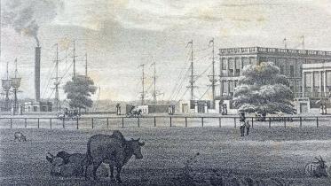 british-bengal-1.jpg
