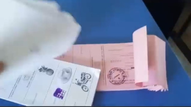 vote
