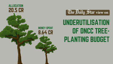 DNCC tree planting budget