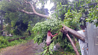 cyclone_remal_devastation_6.jpg