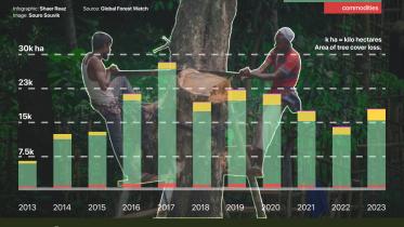 Decade of deforestation