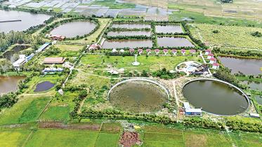 savanna-eco-resort.jpg