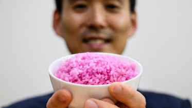 afp_20240617_34ut93u_v1_preview_skoreasciencefood.jpg