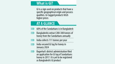 at-a-glance.jpg