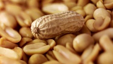 peanut_allergy_australia.jpg